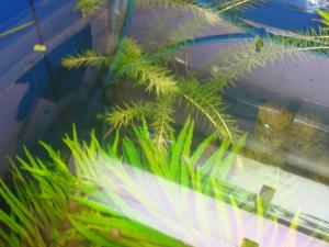 gallery_16019_1451_663405.jpg