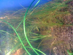 gallery_16019_1451_678530.jpg