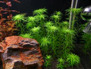 gallery_13564_1411_486535.jpg