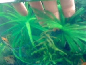 gallery_16019_1444_122401.jpg