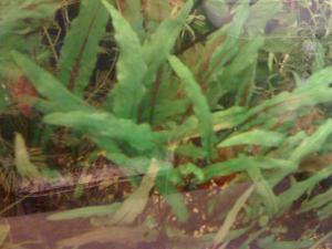 gallery_16019_1444_513390.jpg