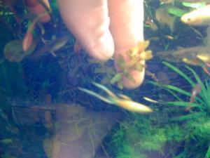 gallery_16019_1444_522048.jpg