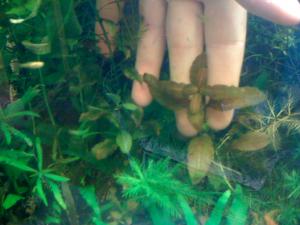 gallery_16019_1444_545309.jpg
