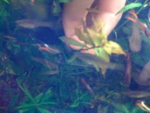 gallery_16019_1444_639038.jpg