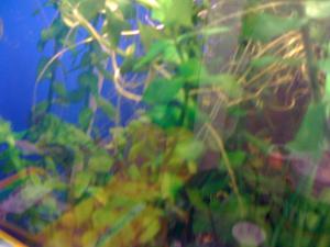 gallery_16019_1444_692178.jpg
