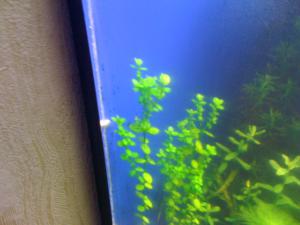 gallery_16019_1451_567683.jpg