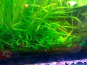 gallery_16019_1451_853917.jpg