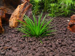 gallery_13564_1411_375508.jpg