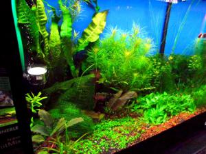 gallery_7576_1421_10669.jpg