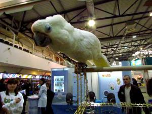 gallery_7576_1421_144512.jpg