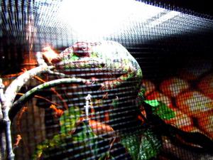 gallery_7576_1421_35216.jpg