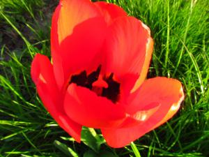 gallery_7576_884_33204.jpg