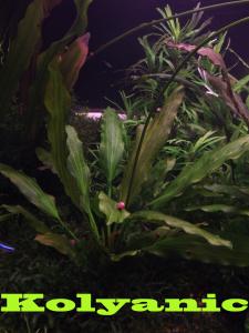 gallery_11527_1458_2022396.jpg