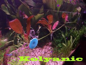 gallery_11527_1458_832323.jpg