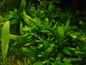 gallery_11527_1458_1840675.jpg