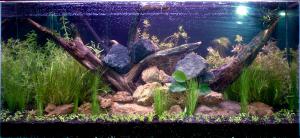 gallery_17686_1456_109269.jpg