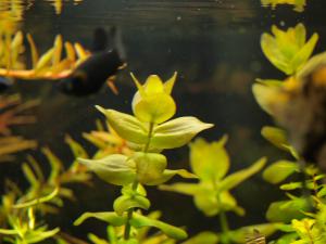 gallery_20096_1392_192735.jpg