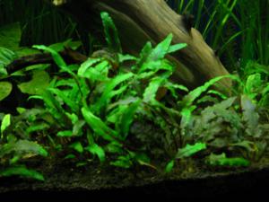 gallery_4735_1472_30217.jpg