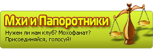 gallery_1_1_2154.png