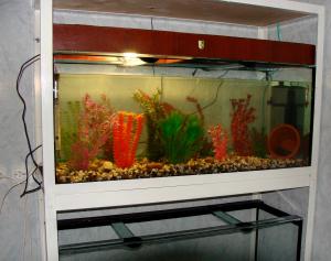 gallery_19928_1479_313092.jpg