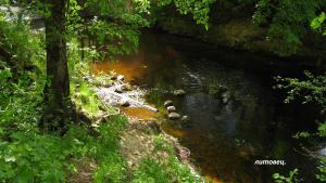 gallery_2047_1459_106849.jpg