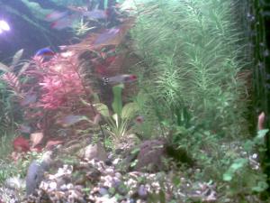 gallery_21130_1480_189870.jpg