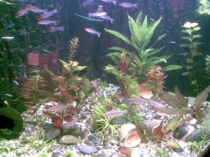 gallery_21130_1480_197149.jpg