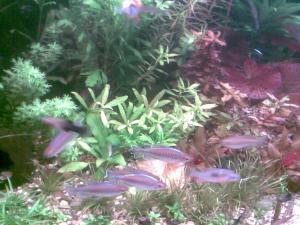 gallery_21130_1480_293196.jpg
