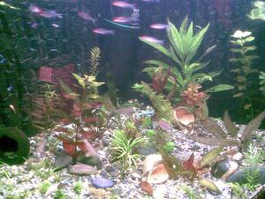 gallery_21130_1480_297421.jpg