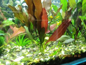 gallery_15342_1487_428811.jpg