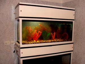 gallery_19928_1479_298257.jpg