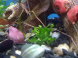 gallery_20335_1484_231055.jpg