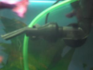 gallery_20403_1485_947550.jpg