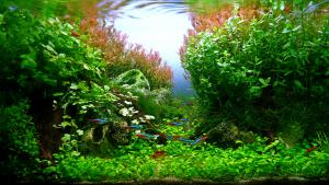 gallery_21525_1350_3118645.jpg