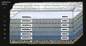 gallery_23359_1498_4662.gif