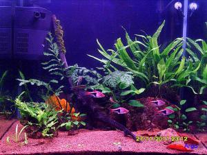 gallery_9962_1413_14363.jpg