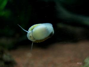 gallery_9962_1413_79586.jpg