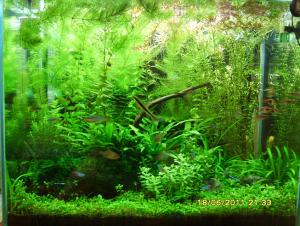 gallery_9962_676_216894.jpg