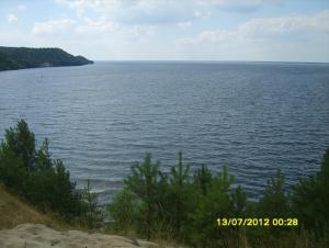 gallery_9962_1521_94968.jpg