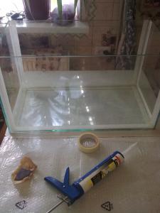 gallery_12087_1526_305326.jpg