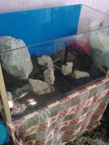 gallery_12087_1526_329162.jpg