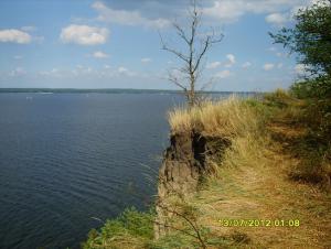 gallery_9962_1521_95614.jpg