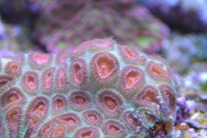 gallery_16074_1533_2372156.jpg