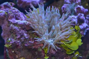 gallery_16074_1533_3318236.jpg