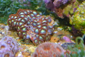 gallery_16074_1533_3644569.jpg