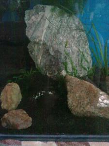 gallery_12087_1526_349967.jpg
