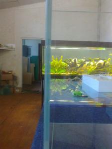 gallery_16379_1407_387837.jpg