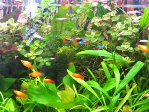gallery_22416_1560_2553274.jpg