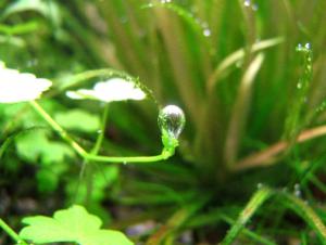 gallery_12620_1573_46897.jpg