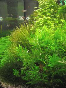 gallery_12620_1573_755138.jpg